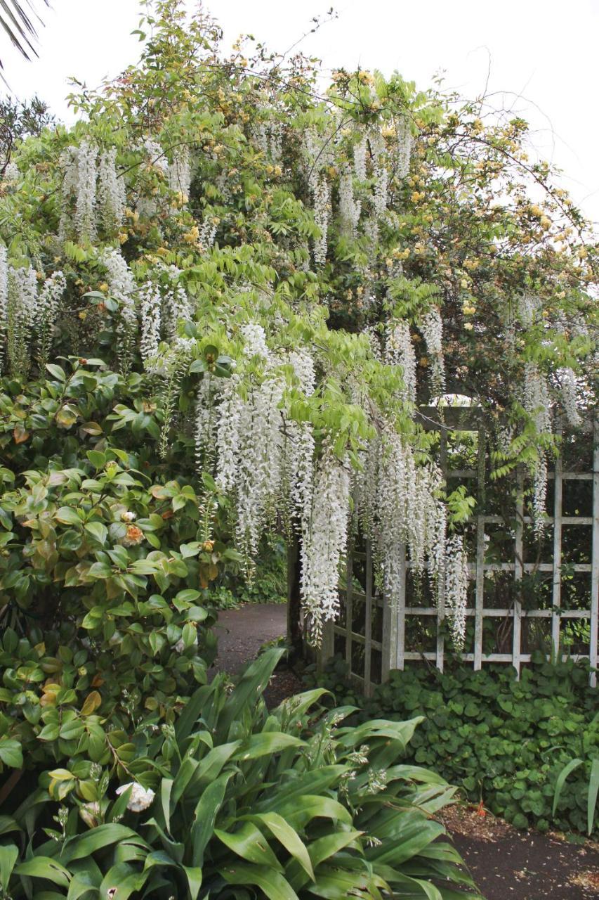 Browns Boutique Bed And Breakfast Whanganui Eksteriør billede
