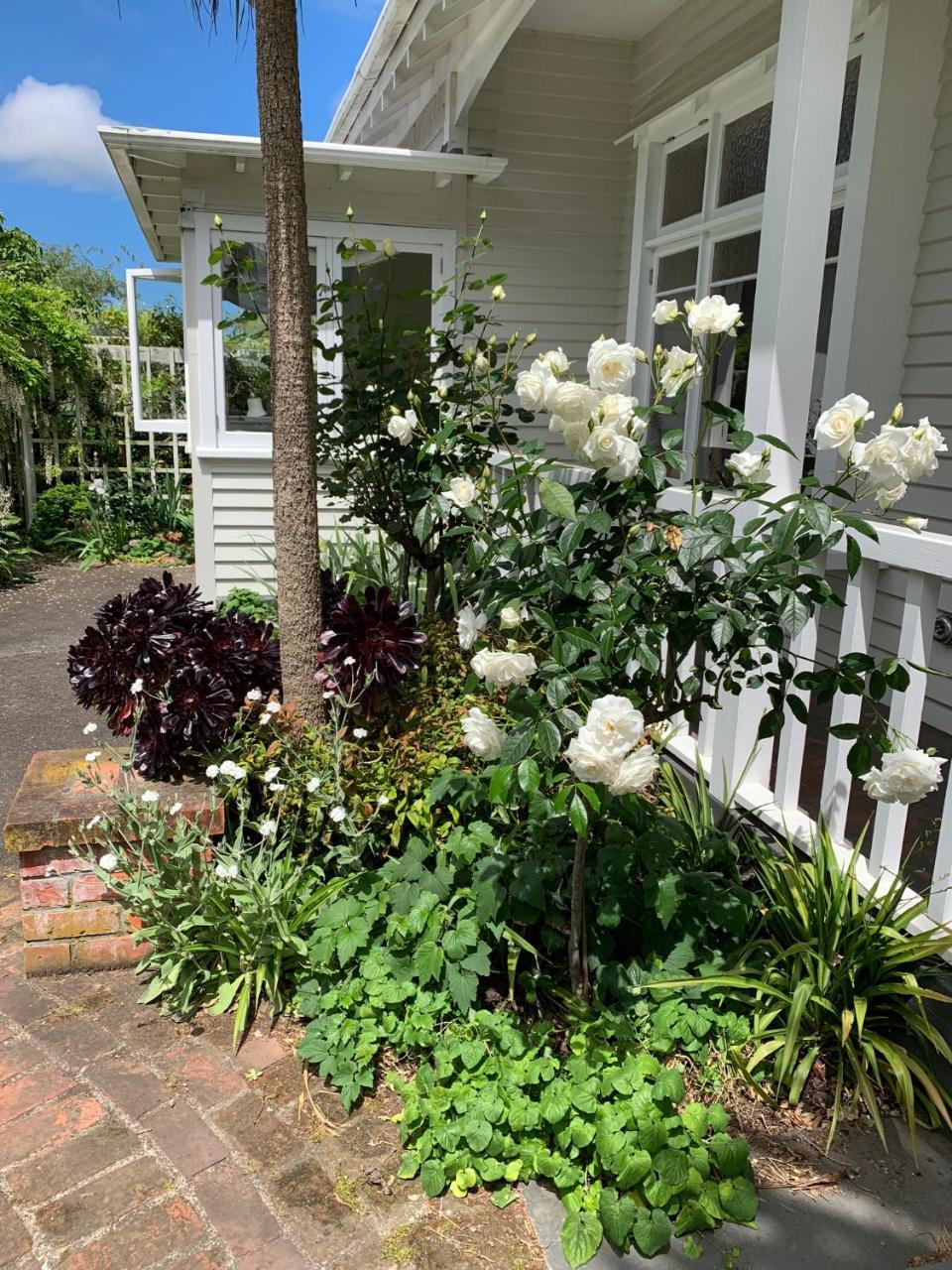 Browns Boutique Bed And Breakfast Whanganui Eksteriør billede